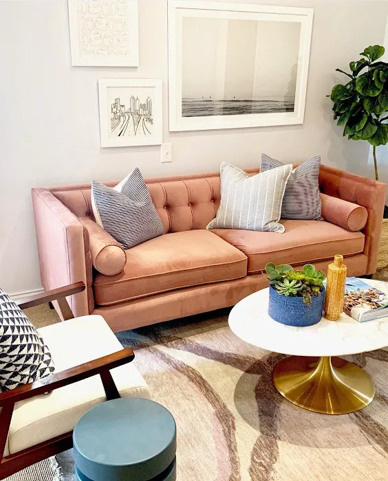 Casey Powell PA Picture 2