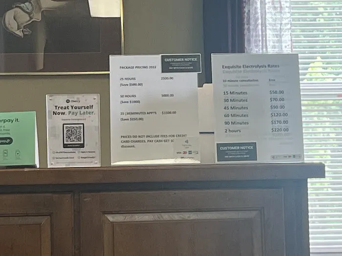 Exquisite Electrolysis Picture 5