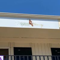 My Milk + Honey Aesthetics, LLC ico