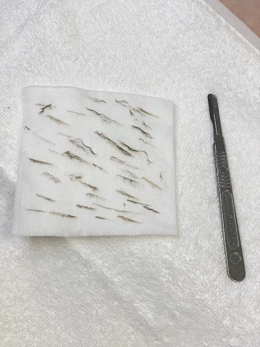 Beauty Therapy by Chanel Picture 5