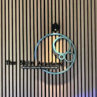 The Skin Academy ico