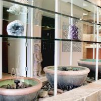 Lifespring Antiaging & Aesthetic Medicine ico