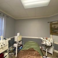 Lapure Clinical Skincare by Carmen ico