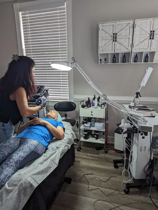 Ageless Beauty Clinic Picture 9