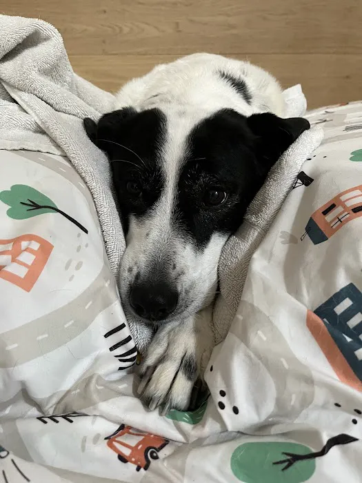 Epiphany Dermatology Picture 4