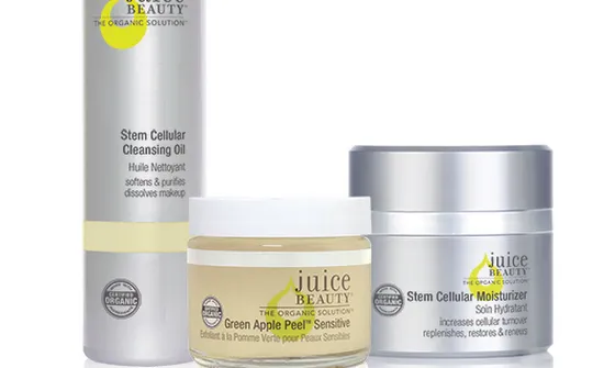 Organic Skin Clinic Picture 3