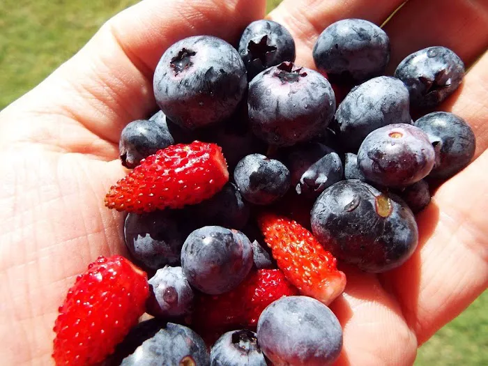 Organic Skin Clinic Picture 2