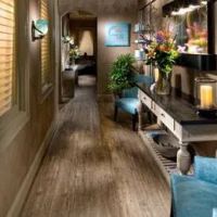 BLUE LOTUS Clinical Skincare ico