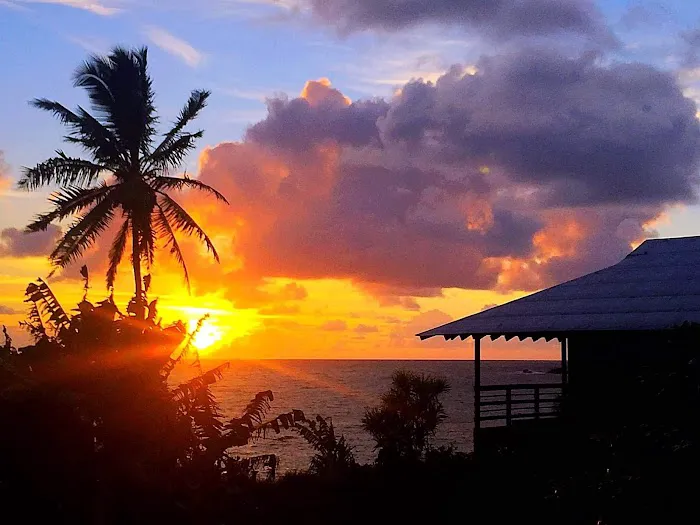 Olansky Dermatology & Aesthetics Picture 6