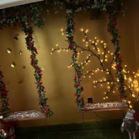 Absolut Beauti Bar ico