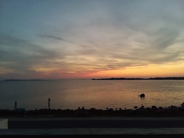 Viraxid Corporation Picture 2