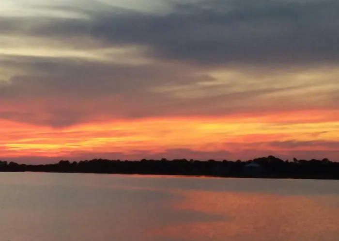 Viraxid Corporation Picture 1