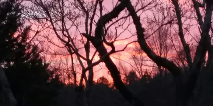 Viraxid Corporation Picture 4