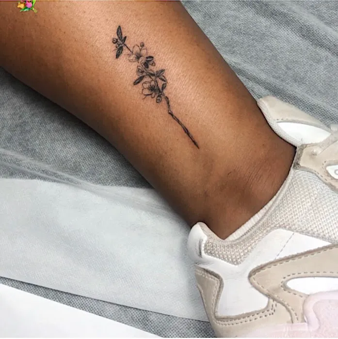 Beautybar424 Picture 3