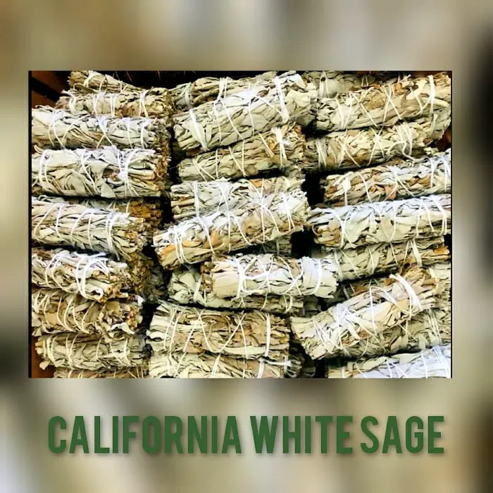 Glamazon Beauty Lounge Picture 5