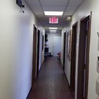 American Medical Center ico