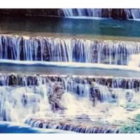 GEM Consultant Services LLC ico