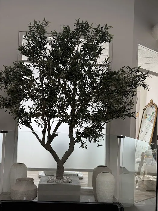 Modern Aesthetics + Skin Medical Spa Picture 9