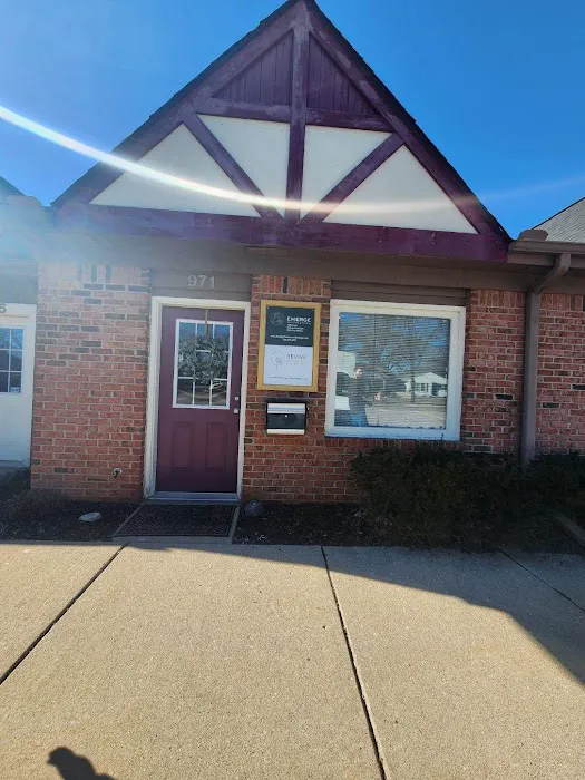 Emerge Skin Care and Healing Picture 6