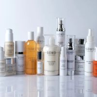 Hannah Sowd Skin Care ico