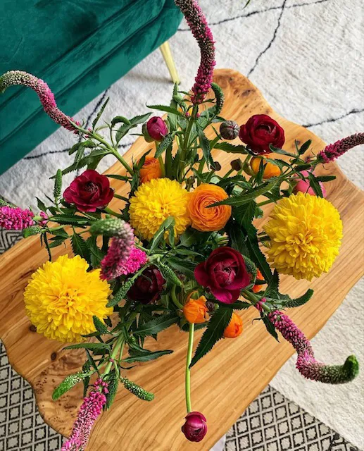 Kokoro Kara Wellness Picture 1