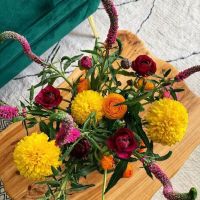 Kokoro Kara Wellness ico