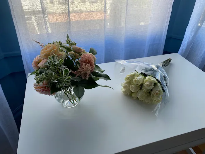 The Beauty Pro Picture 1