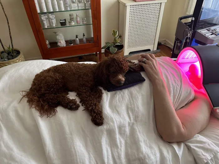 Stacy Stewart Face + Body Picture 4