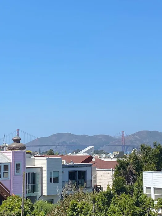 Rosewater Skin Care Picture 8