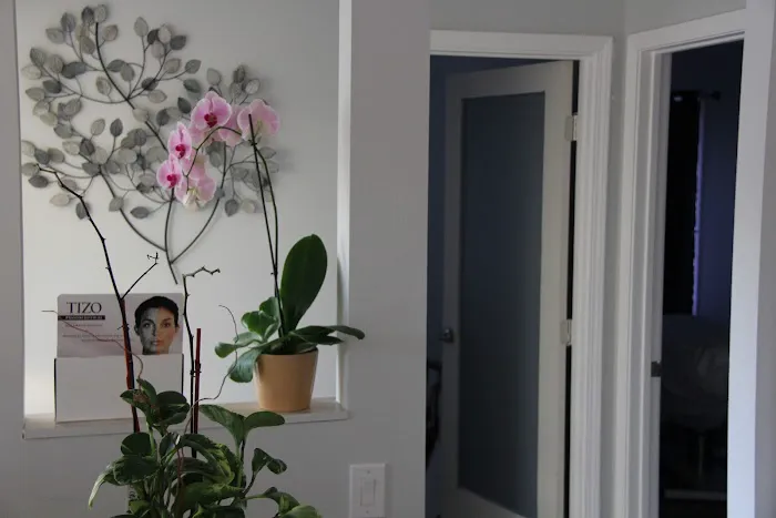 Chez Sylva Clinical Aesthetics and Electrolysis Picture 10