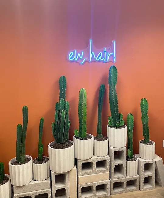 Silk Med Spa Picture 3