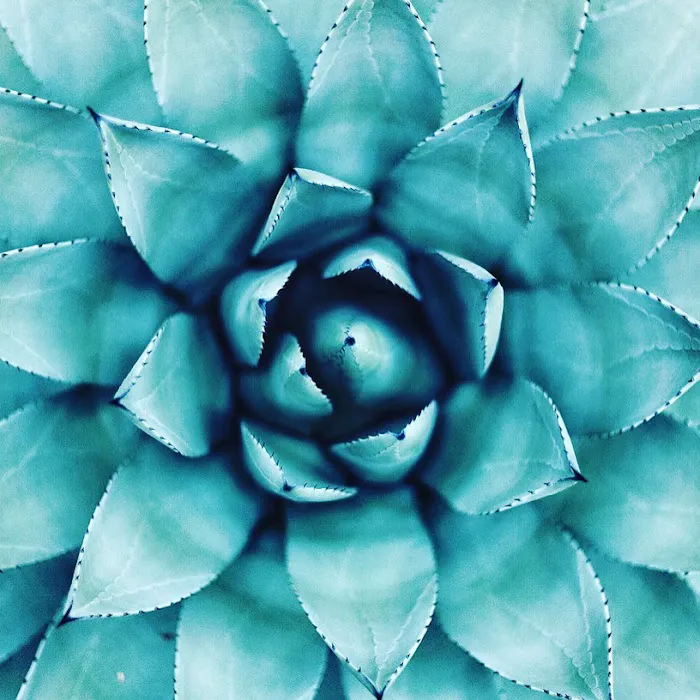 Caramel Skincare & Sugaring Picture 8