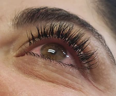 Amiu00e9s Aesthetics