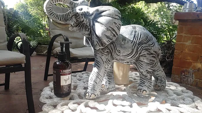 Happy Elephant Reserve Picture 2