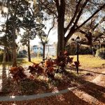 Happy Elephant Reserve