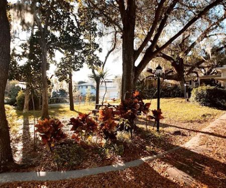 Happy Elephant Reserve