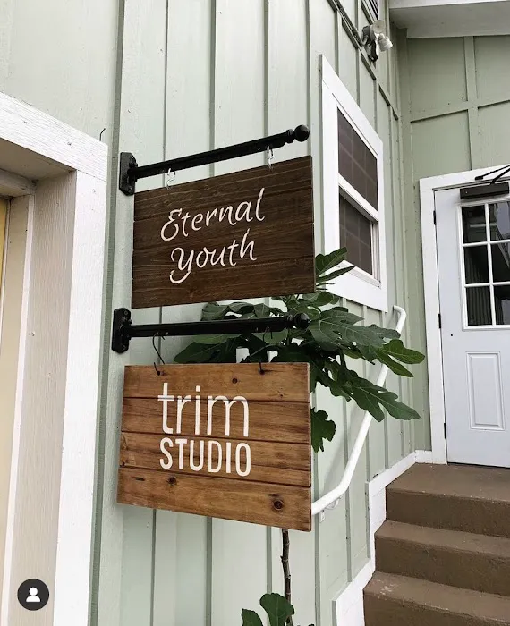 Eternal Youth Plasma Skin Tightening Therapy Picture 1