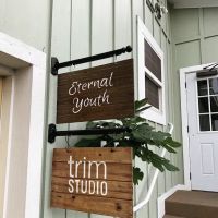 Eternal Youth Plasma Skin Tightening Therapy ico