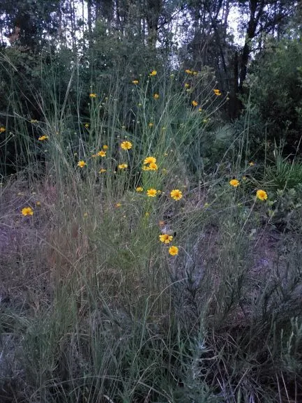 Healing Touch Skin Care Services Picture 6