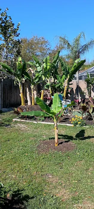 Bay Dermatology Picture 1