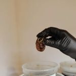 Von beauty and aesthetics