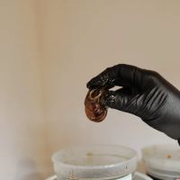 Von beauty and aesthetics ico