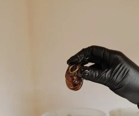 Von beauty and aesthetics