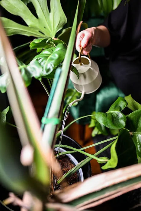 Profile Skin Studio Picture 8