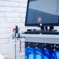 Pretty Face Aesthetics ico