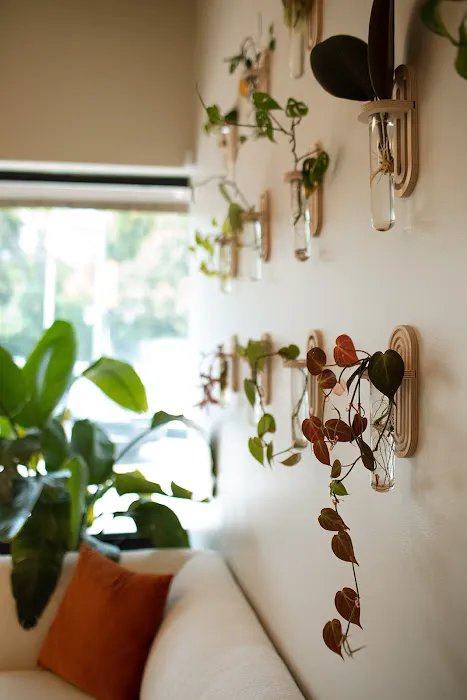 Hannah Ellis Skincare Picture 6