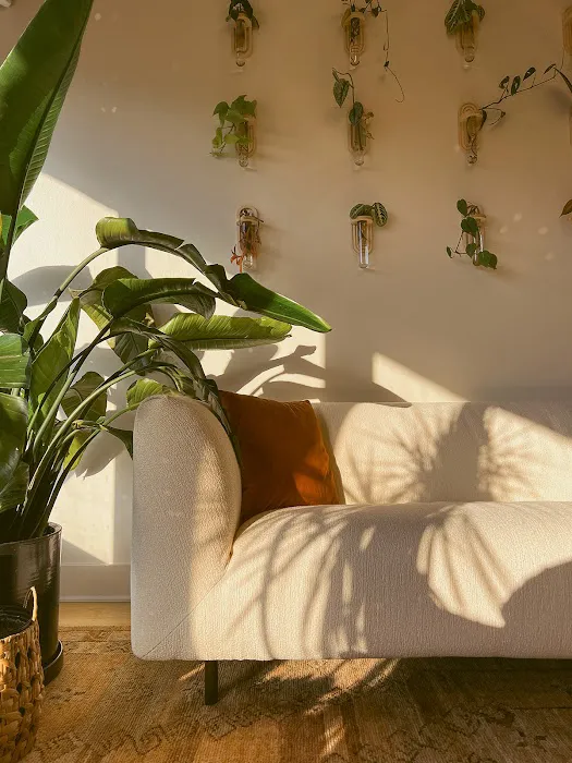 Hannah Ellis Skincare Picture 7