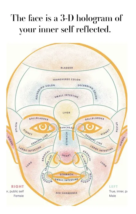 Organic Skin Den Picture 5