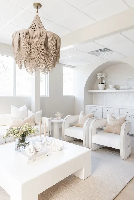 Canvas Skin Picture 6