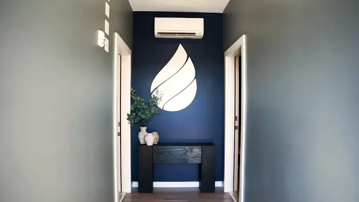 Purifi IV Nashville - Beauty and Wellness Clinic Brentwood Picture 8